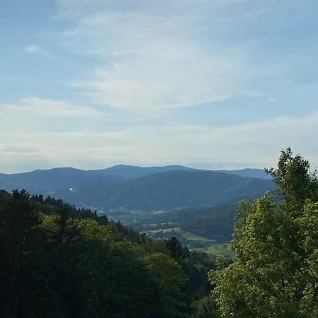 Urig / Mitten Im Bayerischen Wald + Schonblick + Netflix Schöfweg エクステリア 写真