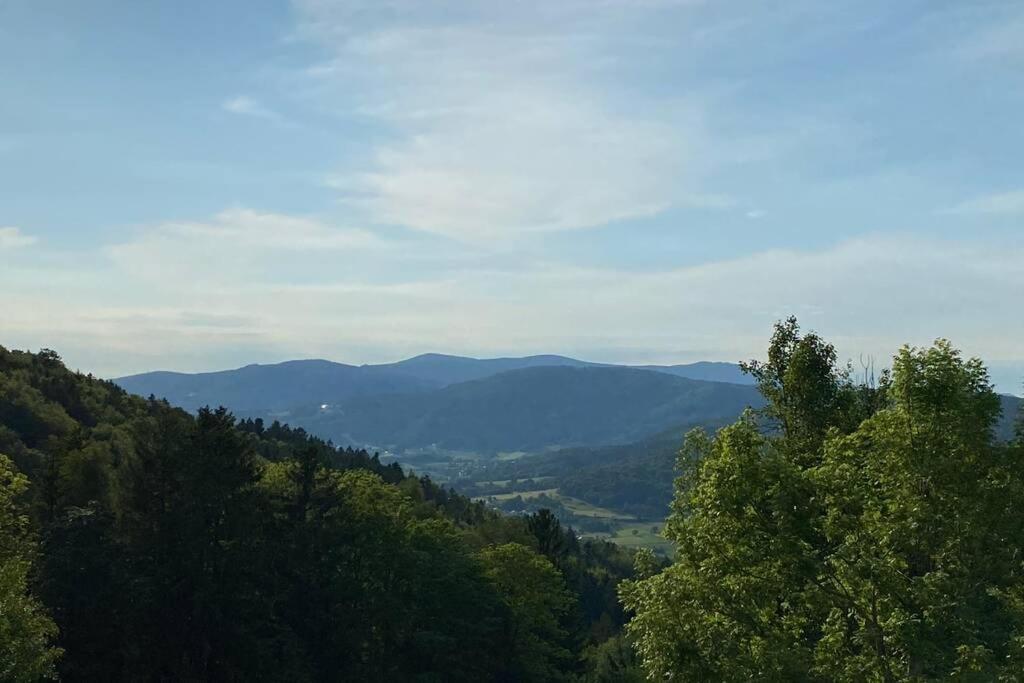 Urig / Mitten Im Bayerischen Wald + Schonblick + Netflix Schöfweg エクステリア 写真